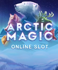 Arctic Magic