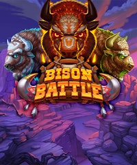 Bison Battle