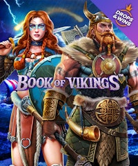 Book of Vikings