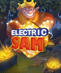 Electric SAM