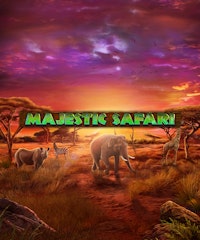 Majestic Safari