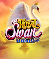 Royal Swan