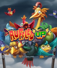 Ruffled Up