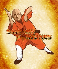 Shaolin Fortunes