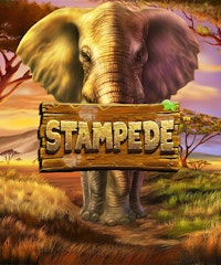 Stampede
