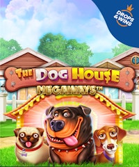 The Dog House Megaways