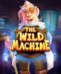 The Wild Machine