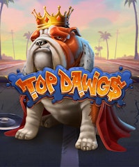 Top Dawg