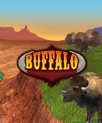 Video Bingo - Buffalo