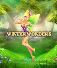 Winter Wonders